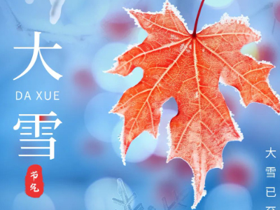 今日大雪 | 天地素裹，静蕴生机。