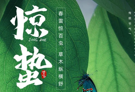 今日惊蛰｜春雷乍响，万物生长。