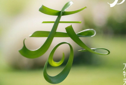 今日春分 | 岁时春已半，人间正芬芳。